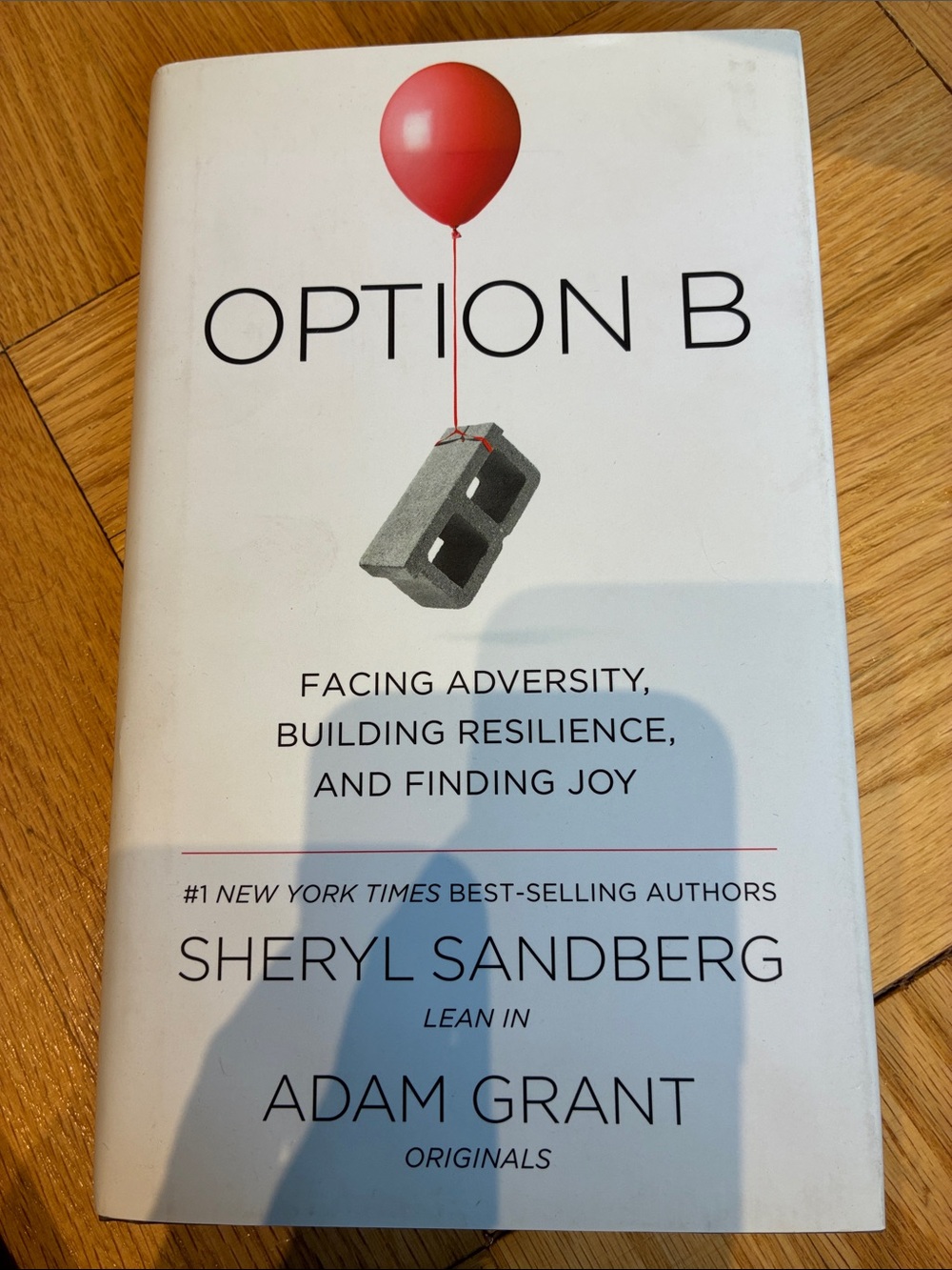 Option B by - Red and White Hardcover Motivational Book